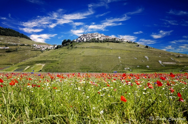 Castelluccio